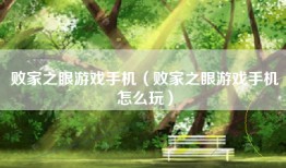 败家之眼游戏手机（败家之眼游戏手机怎么玩）