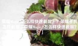 荣耀Magic 2怎么样快速截屏？？荣耀手机怎样截屏「荣耀Magic 2怎么样快速截屏？？」