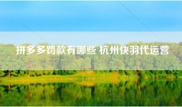 拼多多罚款有哪些 杭州快羽代运营