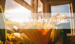 传输层 使用Web代理访问网站