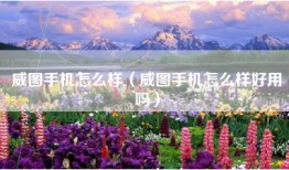 威图手机怎么样（威图手机怎么样好用吗）
