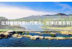 比特币回升至8.2万美元，反弹还是反转？