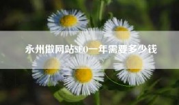 永州做网站SEO一年需要多少钱