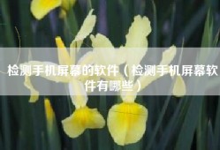 检测手机屏幕的软件（检测手机屏幕软件有哪些）