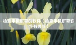 检测手机屏幕的软件（检测手机屏幕软件有哪些）
