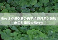 市公共资源交易公告手机银行怎么转账「市公共资源交易公告」