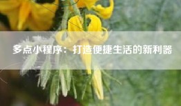 多点小程序：打造便捷生活的新利器