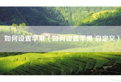 如何设置苹果（如何设置苹果 自定义）