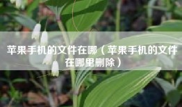 苹果手机的文件在哪（苹果手机的文件在哪里删除）