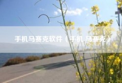 手机马赛克软件（手机 马赛克）