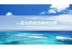 seo优化的成功案例分析