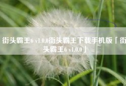 街头霸王6 v1.0.0街头霸王下载手机版「街头霸王6 v1.0.0」