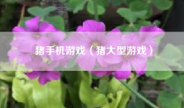 猪手机游戏（猪大型游戏）
