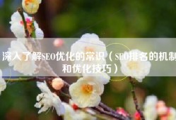 深入了解SEO优化的常识（SEO排名的机制和优化技巧）