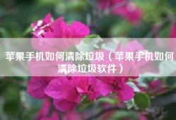 苹果手机如何清除垃圾（苹果手机如何清除垃圾软件）