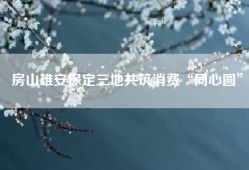 房山雄安保定三地共筑消费“同心圆”