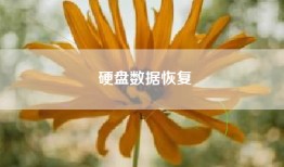 硬盘数据恢复