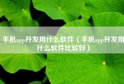 手机app开发用什么软件（手机app开发用什么软件比较好）