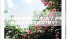 如何理解股票市场的技术分析？这种分析对投资决策有何指导意义？