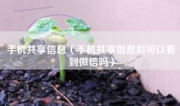 手机共享信息（手机共享信息后可以看到微信吗）