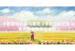 手机如何去除马赛克（手机如何去除马赛克恢复原图安卓版）