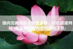 国内空间虚拟主机免备案，轻松搭建网站 (免备案的国内空间虚拟主机)