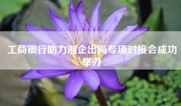 工商银行助力湘企出海专项对接会成功举办