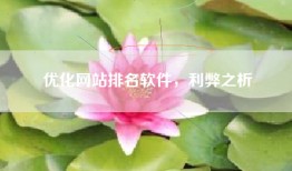 优化网站排名软件，利弊之析