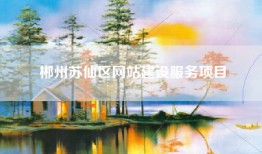 郴州苏仙区网站建设服务项目