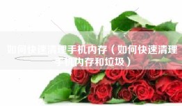 如何快速清理手机内存（如何快速清理手机内存和垃圾）