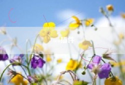 seo插件