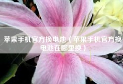 苹果手机官方换电池（苹果手机官方换电池在哪里换）
