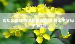 青年吸食出现被害妄想 将亲生父母当街砍死