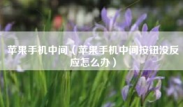 苹果手机中间（苹果手机中间按钮没反应怎么办）