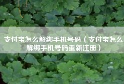 支付宝怎么解绑手机号码（支付宝怎么解绑手机号码重新注册）