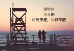 【黑色早评】钢银去库幅度加大，昨钢矿成交均有回升