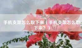 手机支架怎么取下来（手机支架怎么取下来？）