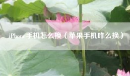 iPhone手机怎么换（苹果手机咋么换）