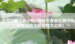 头部短剧平台、MCN和创作者都在聊什么？新榜短剧大会议程大公开！