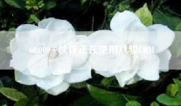 60,000+伙伴正在使用八骏CRM