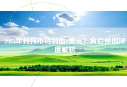 2025年狗狗币将剑指1美元？背后原因深度解析