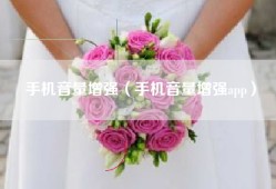 手机音量增强（手机音量增强app）