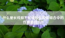 什么是长线股？长线股在投资组合中的作用是什么？