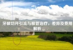 牙龈切开引流与根管治疗，差异及费用解析