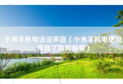小米手机电话没声音（小米手机电话没声音了如何恢复）