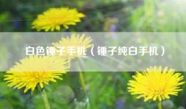 白色锤子手机（锤子纯白手机）