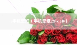 z手机壁纸（手机壁纸320×240）