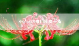 SEO与SEM推广实操干货