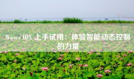 Waves IDX 上手试用：体验智能动态控制的力量