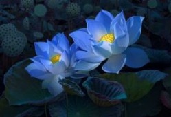 26广外考研交流群开放！分享考研资料、互相监督助学！群满关闭！